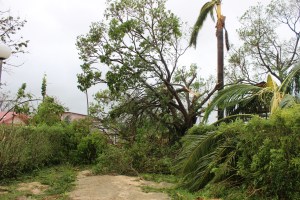 1-Outside Grace House